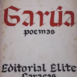 Luis Castro y la garúa poética insular que nos trasciende