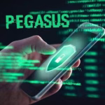 foto-pega